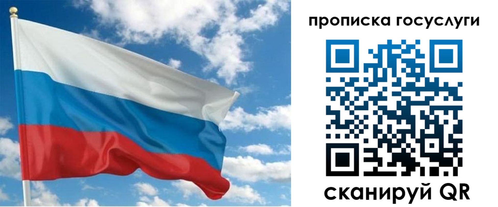 временная регистрация поиск в Светлогорске