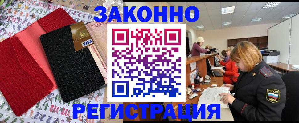 прописка поиск в Светлогорске